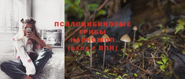 мет Абаза
